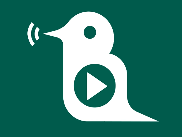 چگونه دورههای بیان لینگوا را خریداری کنیم؟